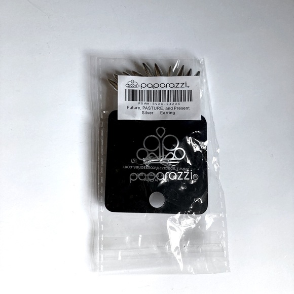 NWT Silver Dangle Fringe Earrings - Picture 5 of 11